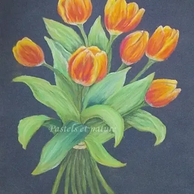 Bouquet de tulipes 1